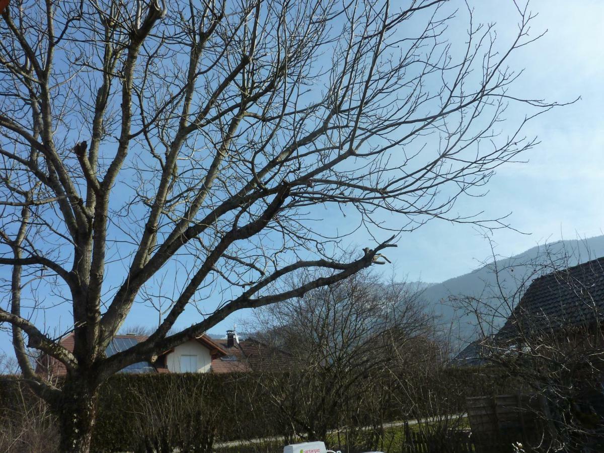 Studio 30 M2 Jardinet 10Minutes Annecy Villa Naves-Parmelan Luaran gambar